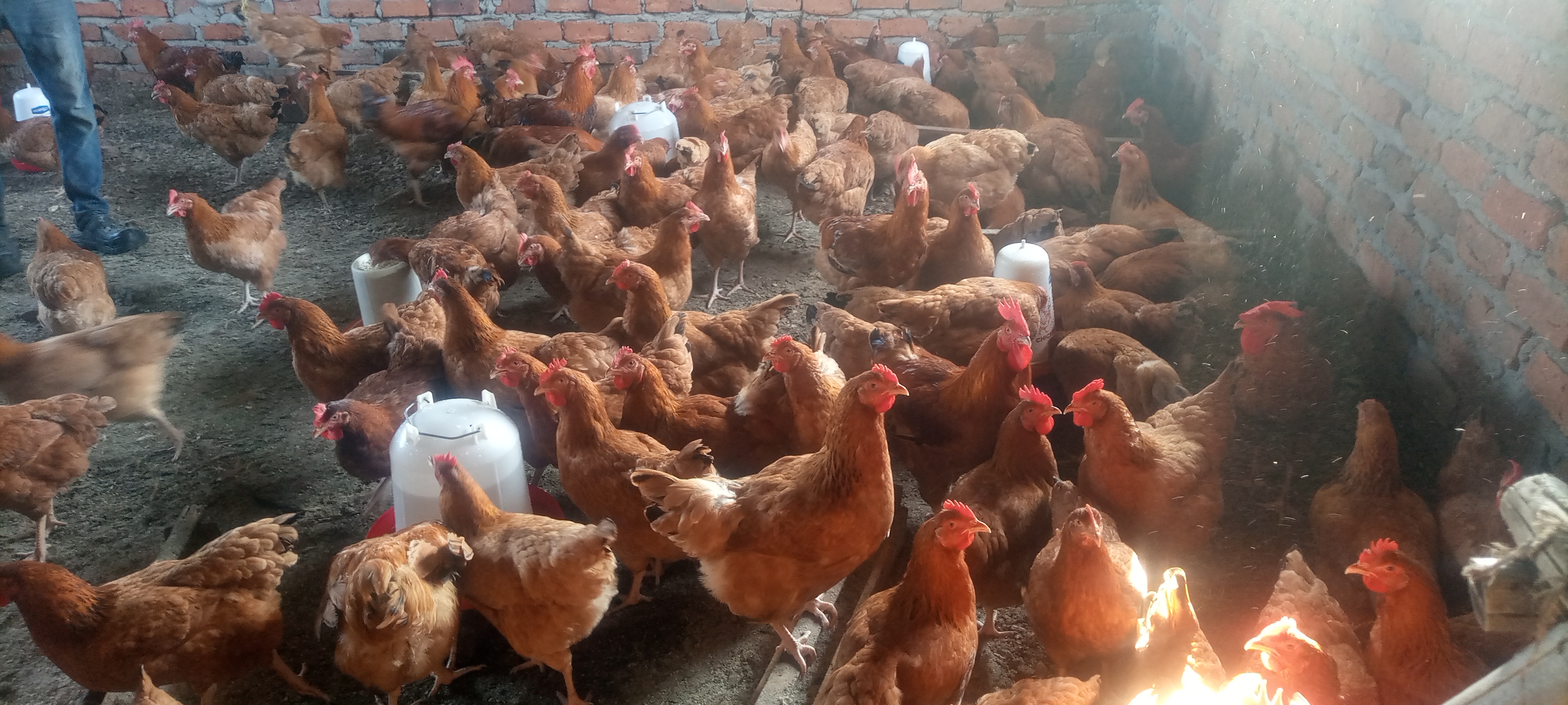 Img 20251222 080340 946