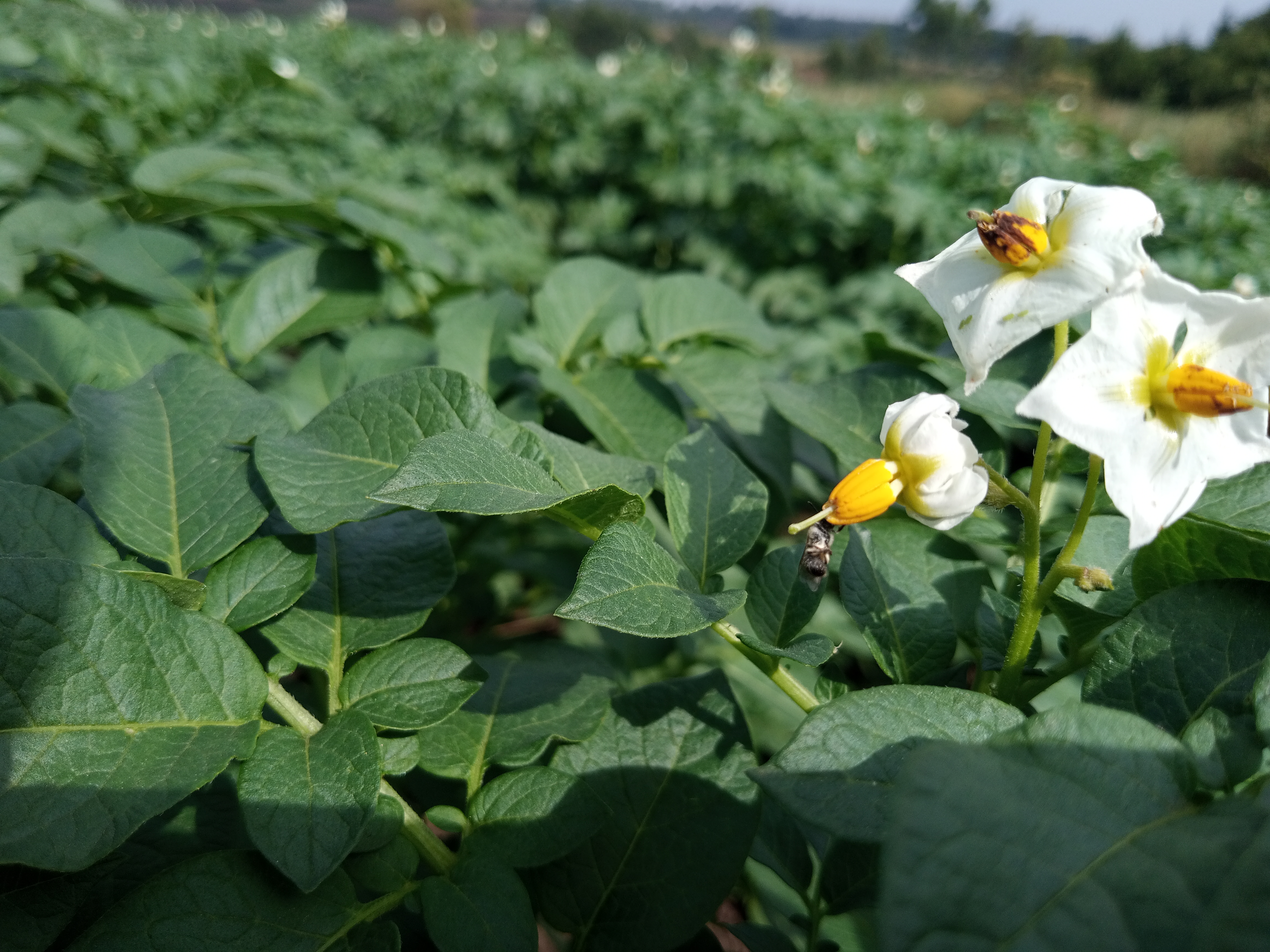 Img 20260217 100455 825