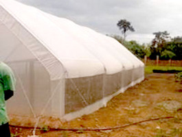 Metallic dome greenhouses 2