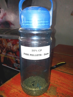 Fish feed %282%29