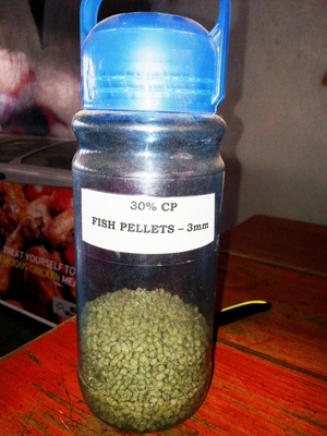 Fish feed %283%29