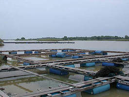 Aquaculture1 1 19150
