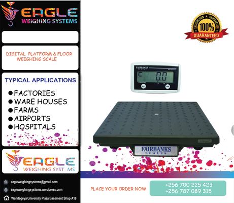 Flyer eagleplat4 13