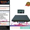 Flyer eagleplat4 13