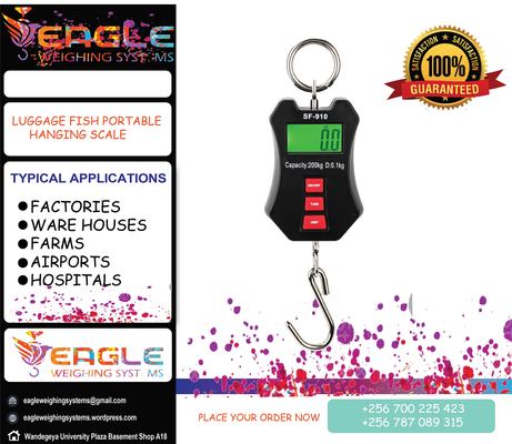 Flyer eaglelast 06