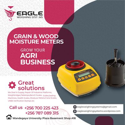 Flyer 61