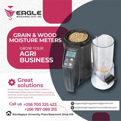 Flyer 16