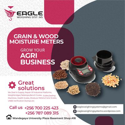 Flyer 60