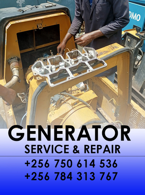 Perkins  caterpillar  cummins generator repair in uganda