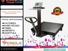 Flyer eaglelast39 24