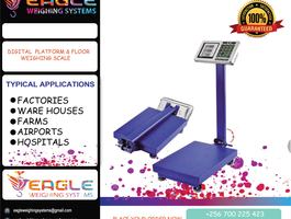 Flyer eagleplat4 04