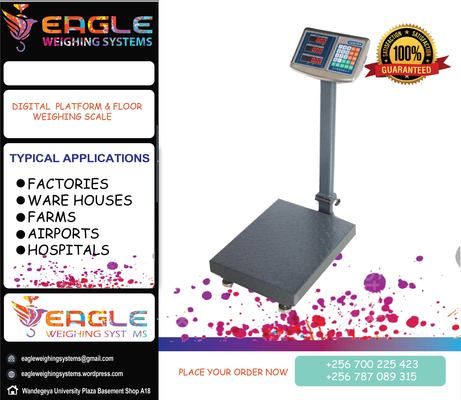 Flyer eagleplat4 03