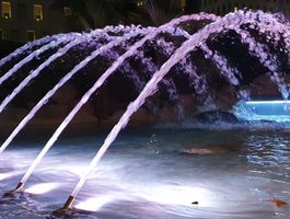 Img 20201231 wa0066 qx1msrcf1l96d2mrx9nz4ptuzbtnel9hhobtv8vgyc