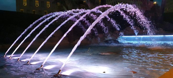 Img 20201231 wa0066 qx1msrcf1l96d2mrx9nz4ptuzbtnel9hhobtv8vgyc