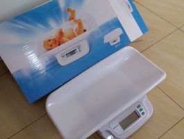 Img 20241008 143359 153