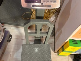Img 0446