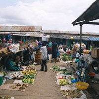 Arua