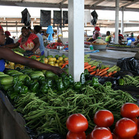 Zimbabwe 4