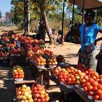 Zimbabwe 7