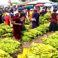 Zuba fruit market