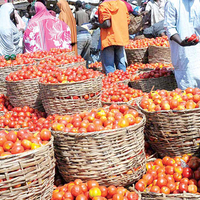 Mile 12 market