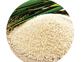 Rice grain