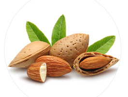 Almond