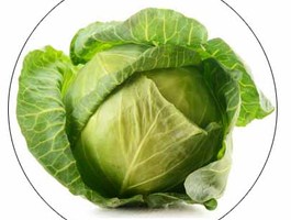 Cabbage