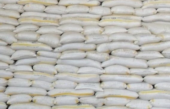 Maize