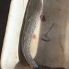 Img 20190517 wa0067