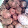 Img 20200629 wa0039