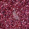 Beans