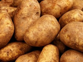 Depositphotos 29982489 stock photo russet potatoes close up