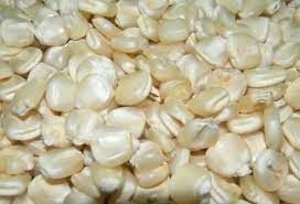 White maize