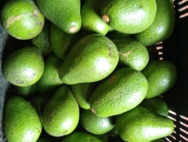 Img20220124115556