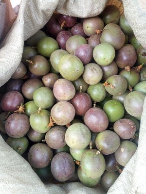 Photo1645441998