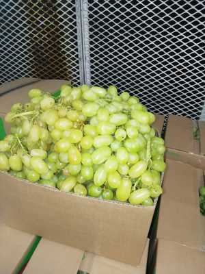 Img 20220210 wa0011