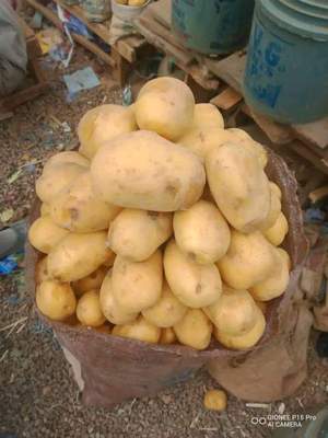 Img 20231027 wa0002