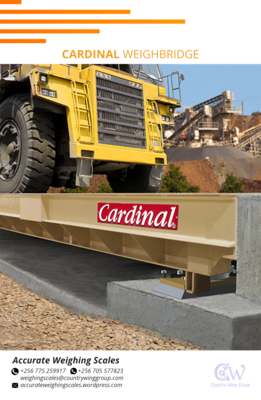 Cardinal weighbridge 9 png 2