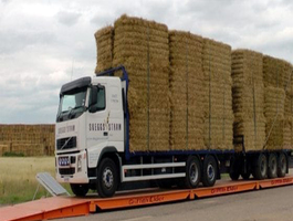 Portable weighbridge 4 jpg