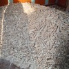 Img 20250212 wa0004