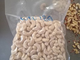 Img 20241113 wa0013