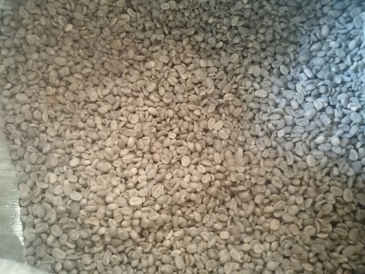 Img 20250724 093405