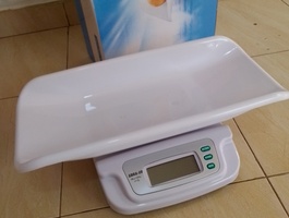 Img 20241008 143304 092
