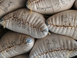 Img 20251127 180451 131