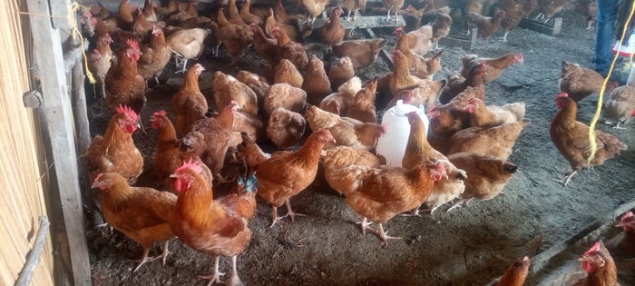 Img 20251222 080337 414