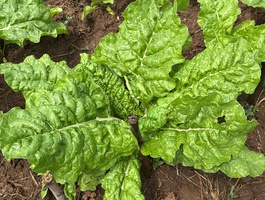 0f5772d2 166e 480c 923d 293703b441ef