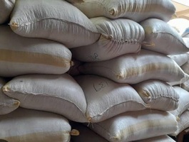 Screenshot 20260308 190811 chrome