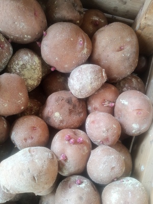 Img 20260219 134018 365