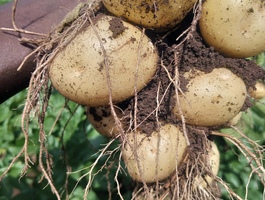 Img 20260227 114719 439